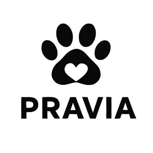Pravia